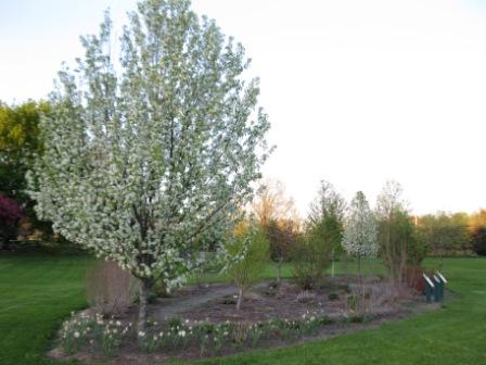 Memorial Garden Spring